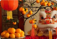 新年賀詞 | 筑夢未來，在這里展翅騰飛